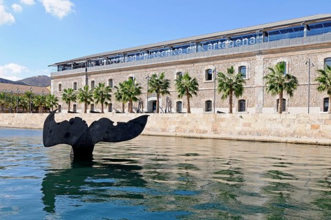 Cola de Ballena