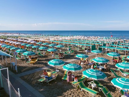 Rows of sunshades on the beach