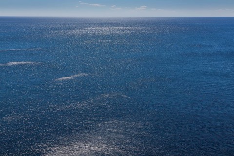 Mediterranean