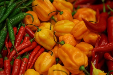 Habanero and others chillies at a stand at Fruit Logistica