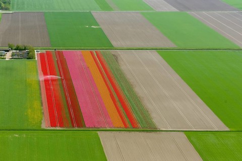 Field irrigation