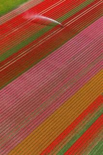 Field irrigation