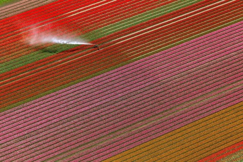 Field irrigation