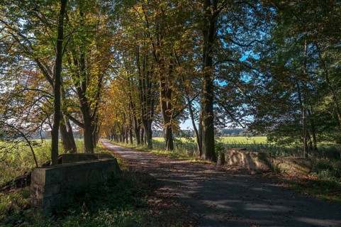 Autumn mood