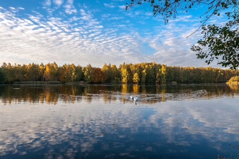 Autumn at Lake Lindensee in Moenchbruch Nature Reserve