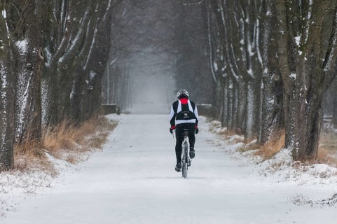 Mountain biker riding along a snowy tree-lined avenue