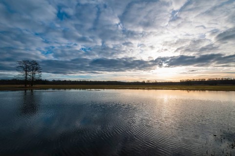 Flooded fields with a low sun