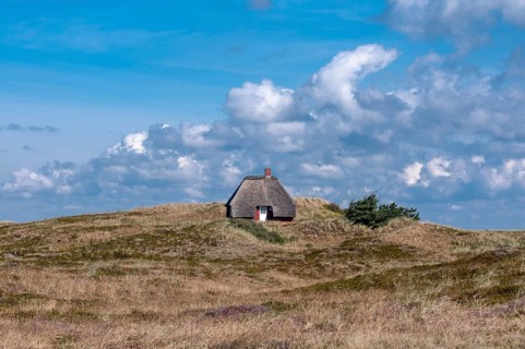 Thatched holiday cottage in dune landscape