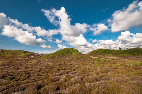 Heathland with typical sea clouds