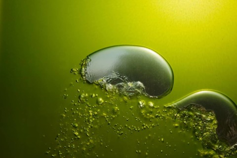 Rising air bubbles