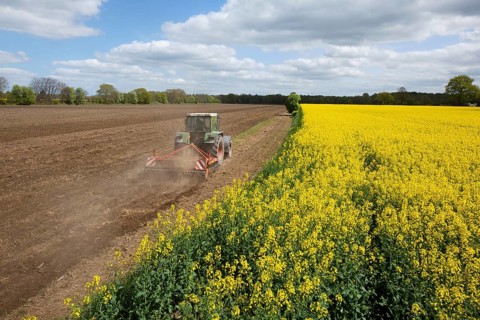 Rape field