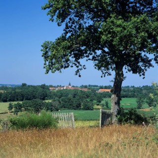 Agricultural landscape and village