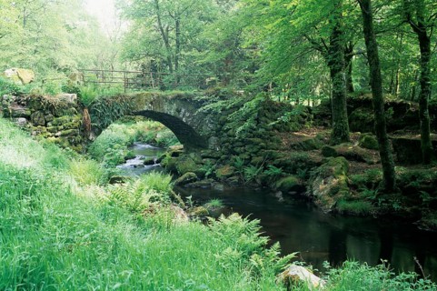 Stone bridge and river