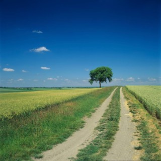 Track through fields