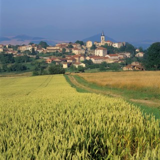 Agricultural landscape and village of Egliseneuve
