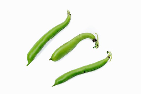 Broad beans or fava beans (Vicia faba)
