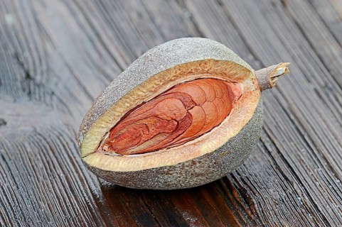 West Indian mahogany