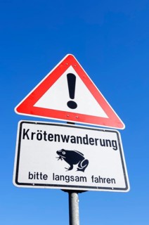 Warning sign with the message 'Kroetenwanderung