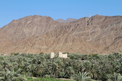 Bithnah Oasis with the Old Fort