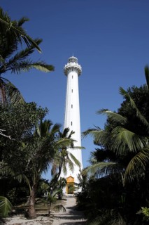 Lighthouse of Ilot Amedee or Le Phare Amedee between palm trees against a blue sky