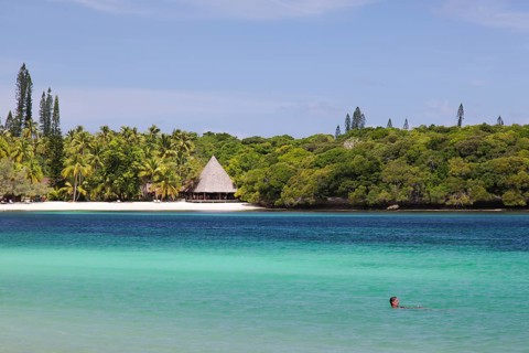Beach with a hut on a South Seas island