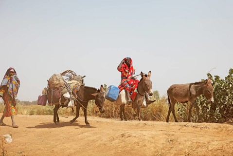 Choa nomads with donkeys at Maga Dam