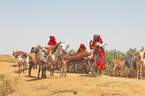 Choa nomads with donkeys and horses at Maga Dam
