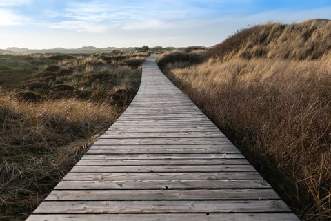 Boardwalk through Amrum Dunes Nature Reserve