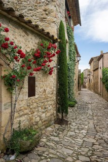 Medieval alley