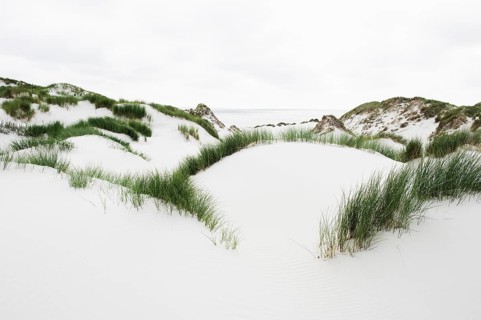 Dunes and a white sandy beach