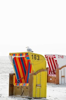 Colourful roofed wicker beach chairs on the beach with a seagull on a roof