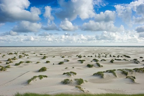Dunes and beach
