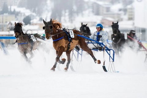 Horse racing on a frozen lake