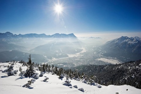 Winter landscape with snow-covered fir trees and the sun