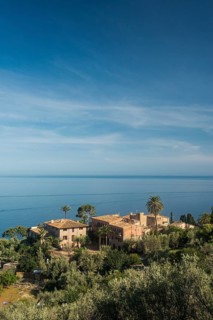 Houses and palm tree by the sea