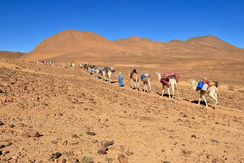 Tuareg men with a camel caravan at Atakor