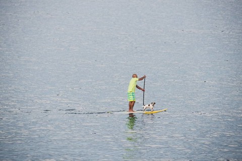 Stand-up paddler with dog