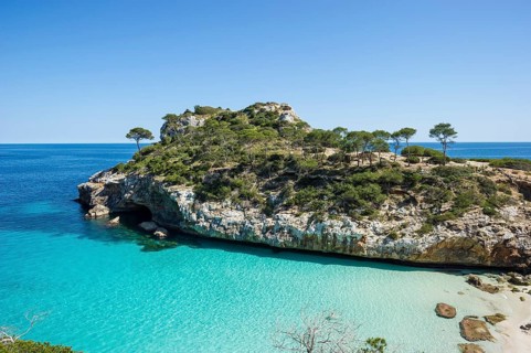 Bay with a sandy beach and pine trees