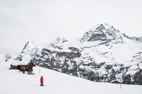 Old log cabin and skier