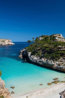 Bay with a sandy beach and pine trees