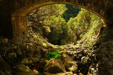 An almost dried out stream runs underneath a bridge and disappears in the forest-clad valley below