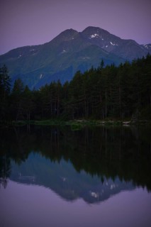 Conifer forest on lake Moserer See
