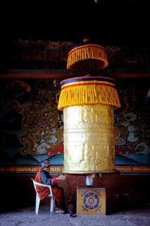 Devout Buddhist praying at a prayer wheel in Punakha Dzong