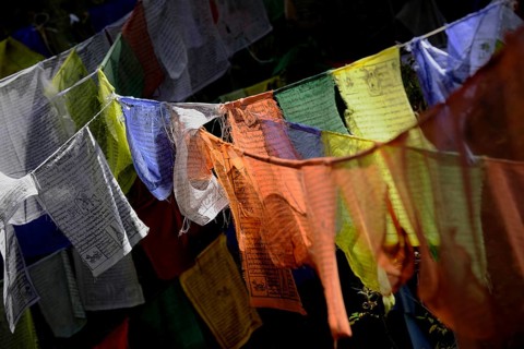 Fluttering prayer flags