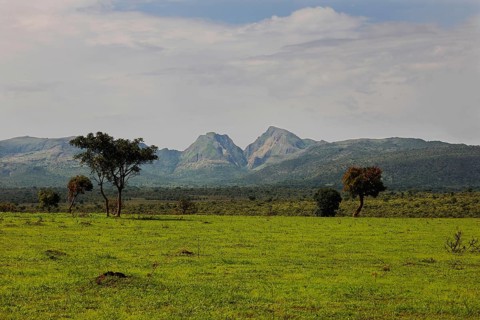 Landscape of Central Cameroon