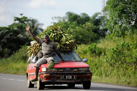 Bananas being transported on a car
