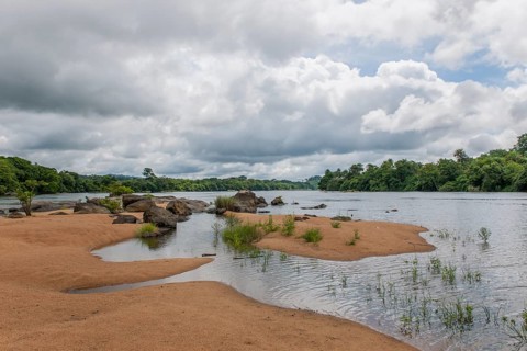Tiwai Island Wildlife Sanctuary on an island in the Moa River