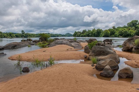 Tiwai Island Wildlife Sanctuary on an island in the Moa River
