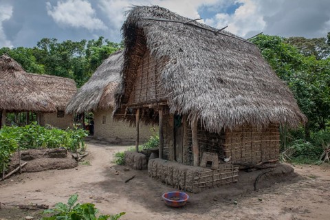 Houses in a village on the Moa River