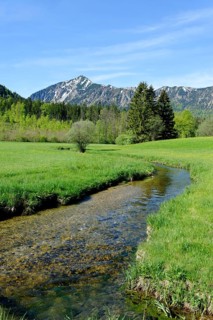 Landscape near Aurach in the Leitzachtal valley in spring
